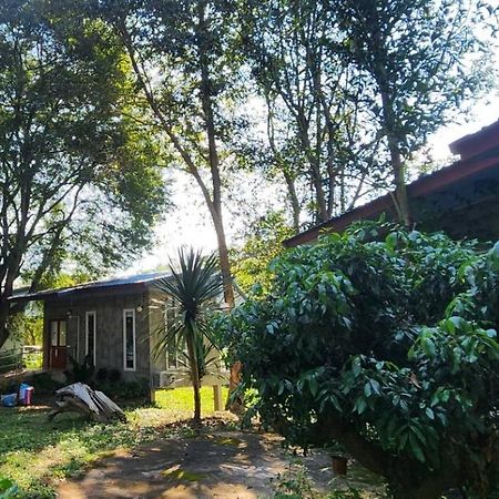 Rimtharnn Homestay Maewin Mae Wang Eksteriør billede