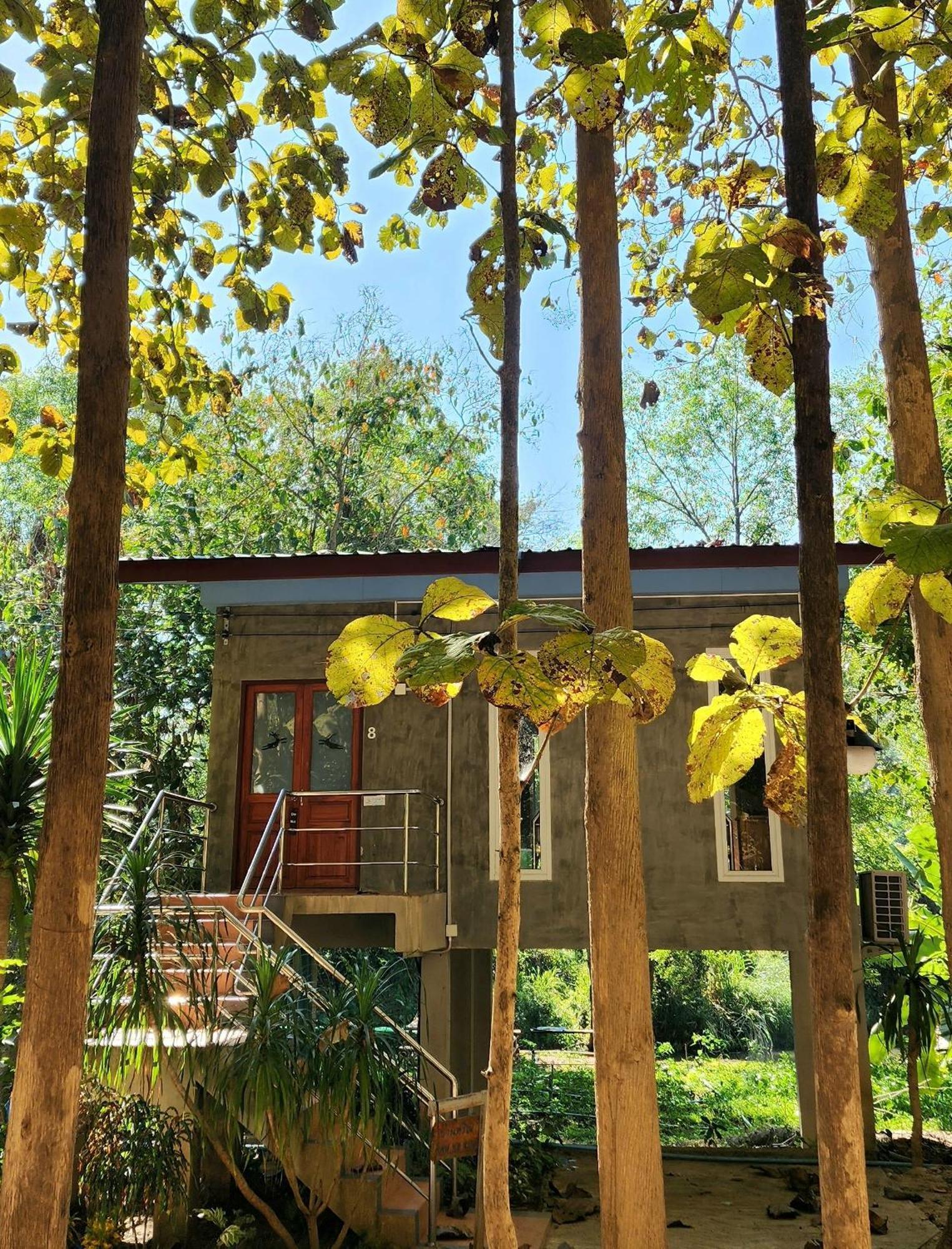 Rimtharnn Homestay Maewin Mae Wang Eksteriør billede